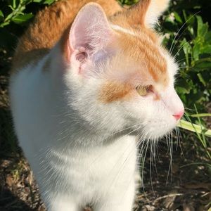 Meet your Posher, Wendy